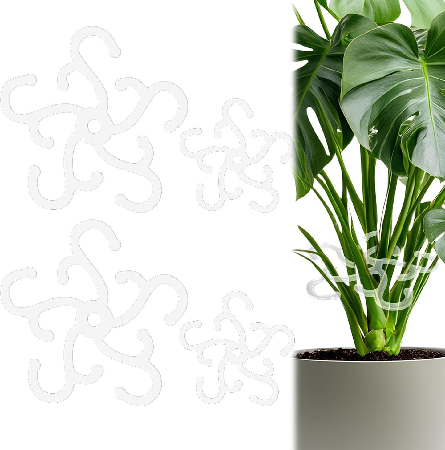 4 Soportes Tallo Planta Gancho Monstera Interior Exterior