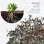 Rocas decorativas para pecera y jardín 2lb 1/5pulg