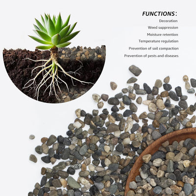 Rocas decorativas para pecera y jardín 2lb 1/5pulg