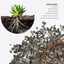 Rocas decorativas para pecera y jardín 2lb 1/5pulg