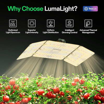 Luz LED crecimiento 200W espectro completo plantas
