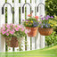Soporte colgar plantas forjado 8pulg negro duradero