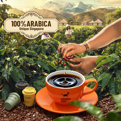 Café instantáneo frío 100% arábica liofilizado sin azúcar