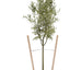 Estacas redondas madera 6ft para árboles plantas 12pzas