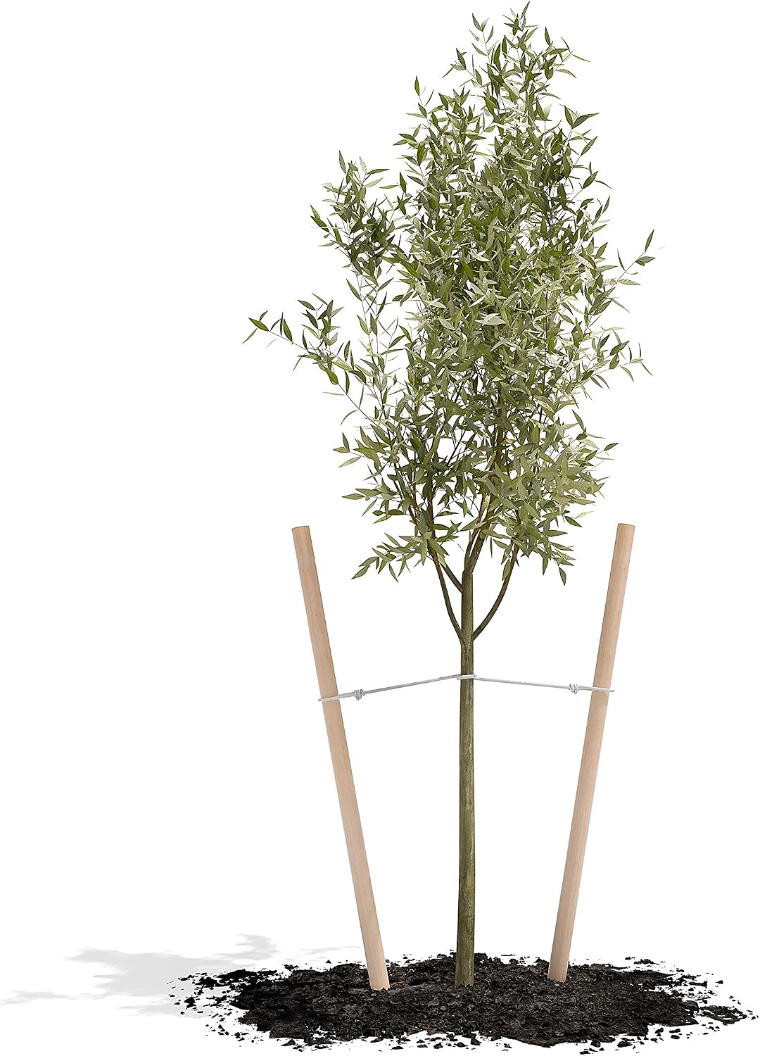 Estacas redondas madera 6ft para árboles plantas 12pzas