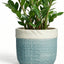 Maceta cerámica 9.8pulg con drenaje decorativa para plantas