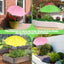 3 Pzas Sombrilla Jardín Pantalla Ajustable 35x23pulg