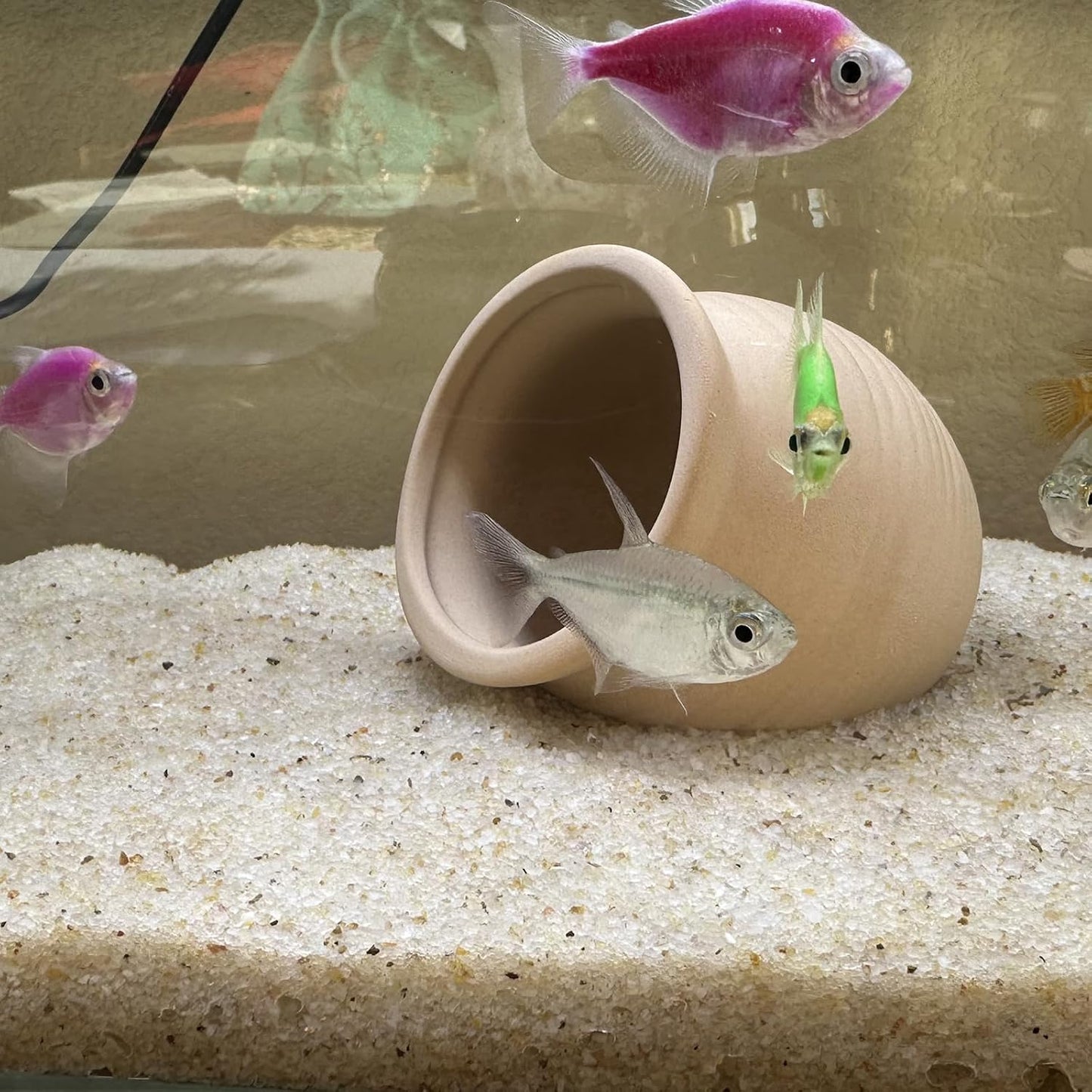 Arena acuario beige 2lb para pecera y terrario