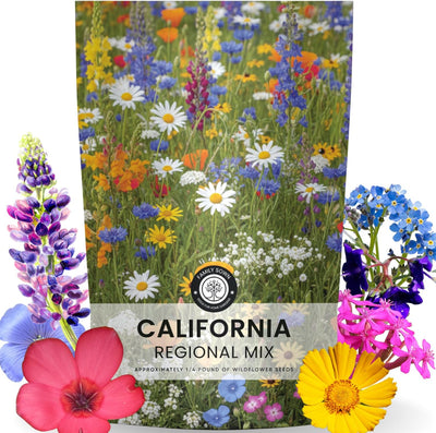 Mezcla regional California 79000 semillas bolsa 4oz