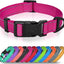 Collar perro pequeño nailon reflectante ajustable 5/8pulg