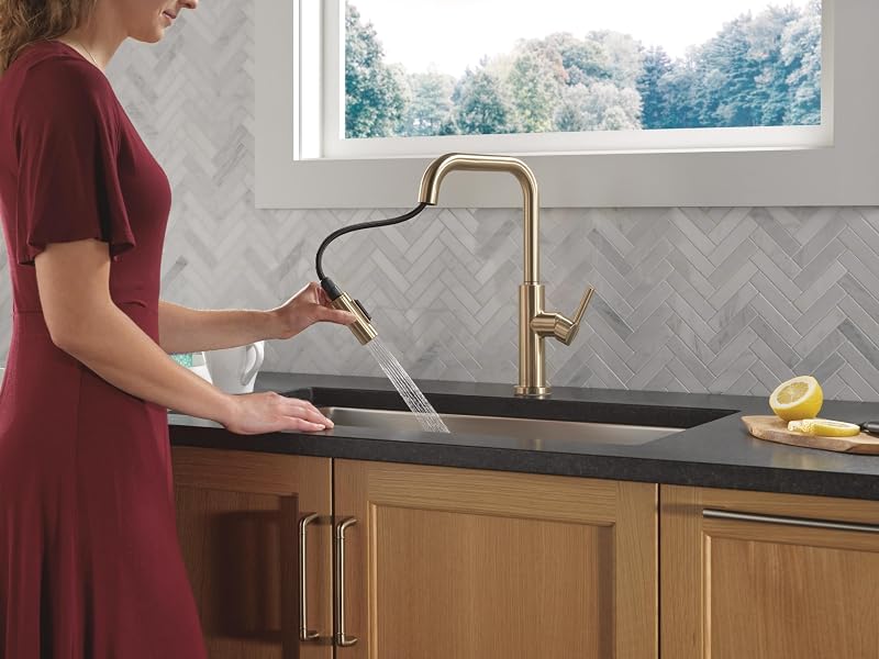 Grifo cocina boquilla oro cepillado rociador extraible