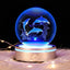 Bola de cristal 3D delfín con luz LED para regalos