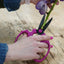 Tijeras flores acero carbono 7.6pulg buganvillas rosa