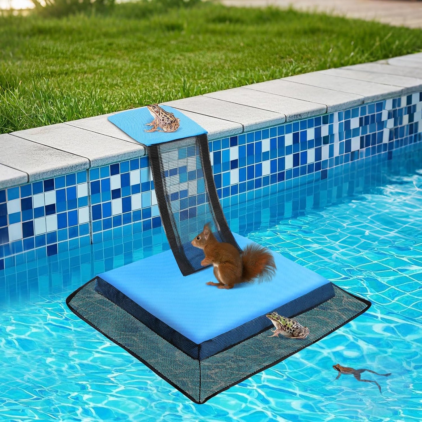 Rampa escape para animales de piscina Azul