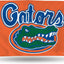 Bandera NCAA 3x5ft una sola cara