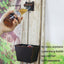 Abrebotellas cobre antiguo pared con rosca cuadrada set 2