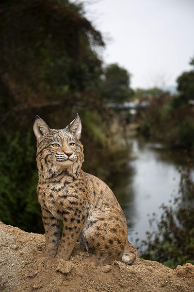 Estatua Bobcat sentado amarillo y negro