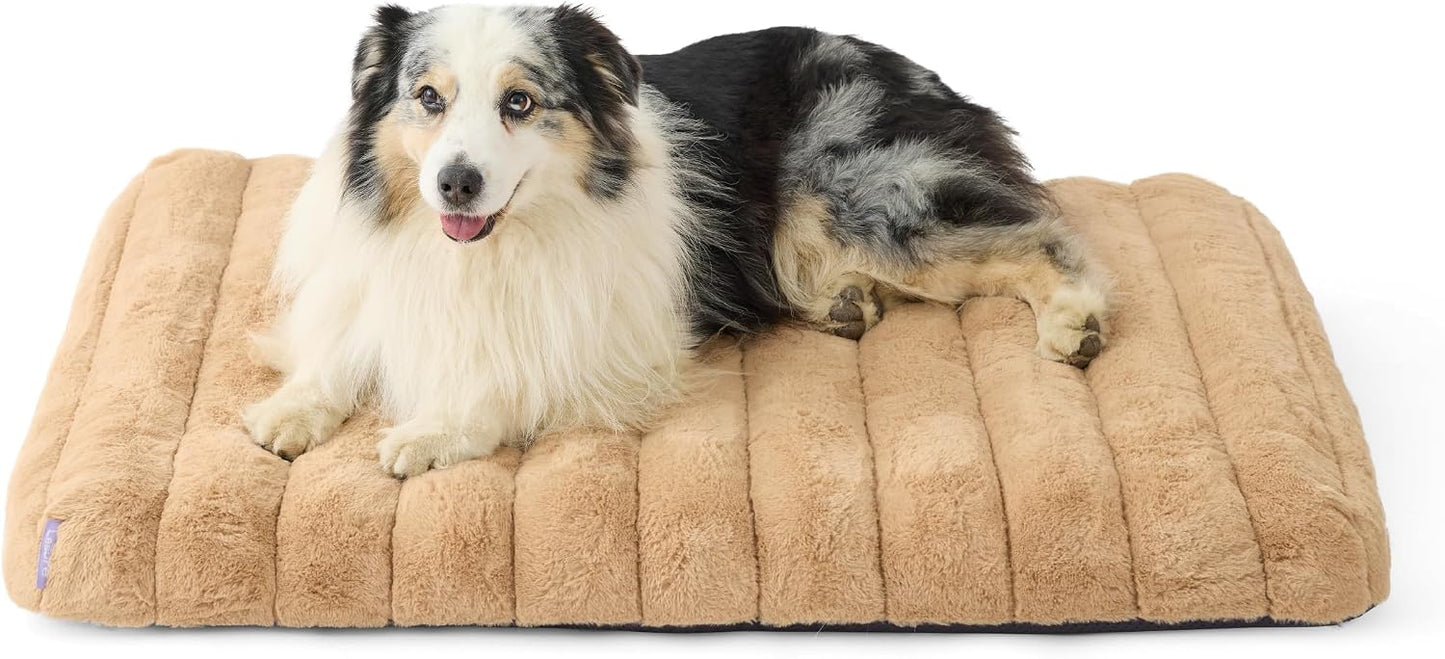Cama ortopédica perros grandes espuma mullido