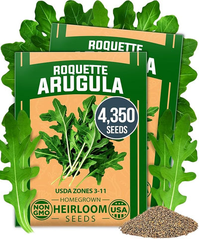 Semillas rúcula 4350 paq germinación alta jardín