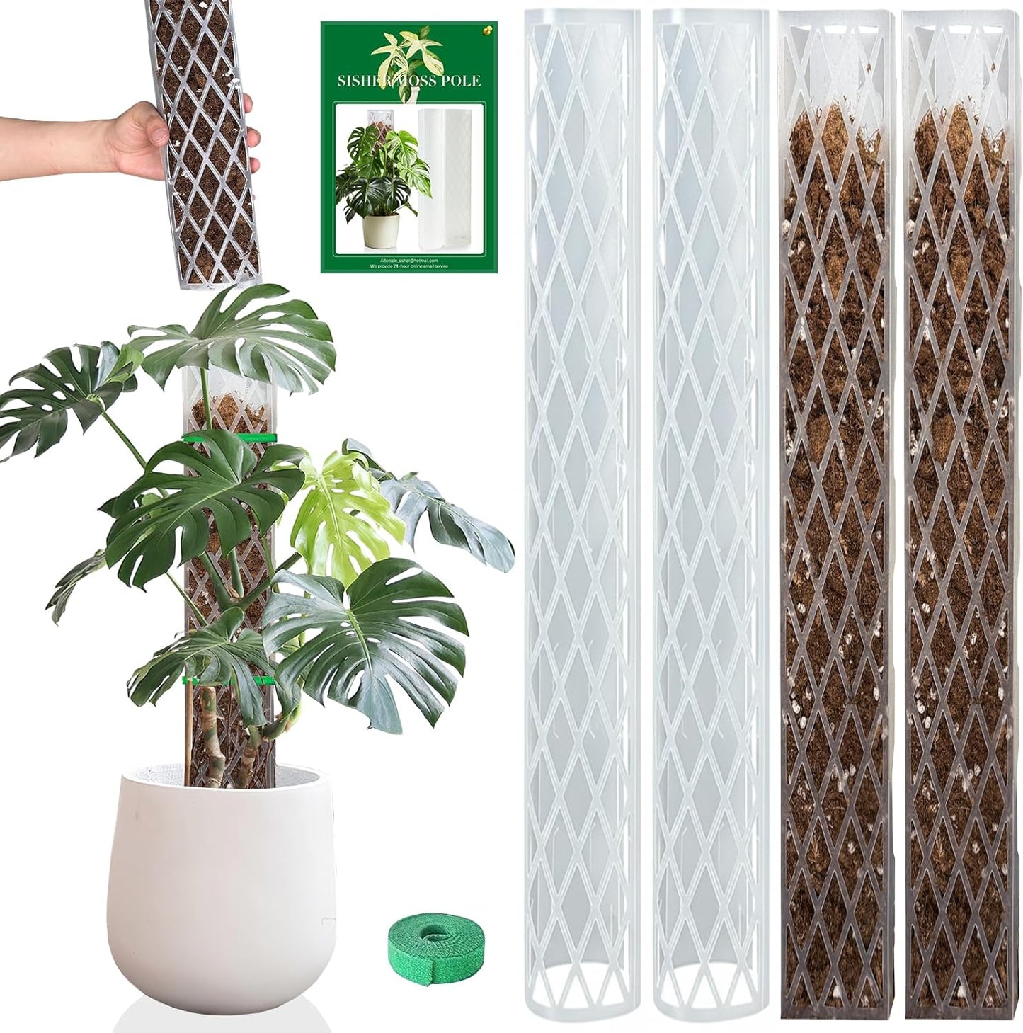 4 Postes D de 16" para plantas con musgo Sphagnum blanco