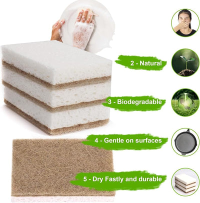 Esponjas de coco biodegradable paquete 12
