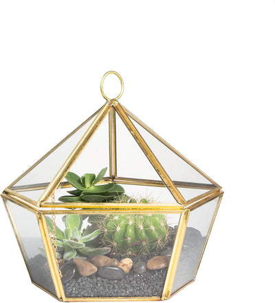 Joyero terrario pentágono vidrio transparente tapa dorada