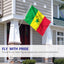 Bandera Senegal 3x5ft poliéster ojales latón doble costura