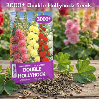 Semillas Hollyhock doble colores mixtos paquete grande