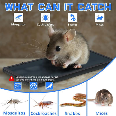 Trampa pegamento para ratas y arañas interior hogar