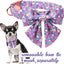 Collar perro dibujos animados con pajarita para niños