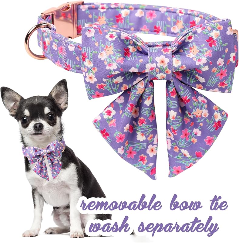 Collar perro dibujos animados con pajarita para niños