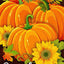Bandera jardín calabazas girasoles 12x18"