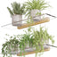 Estantes flotantes acrílicos base madera para plantas