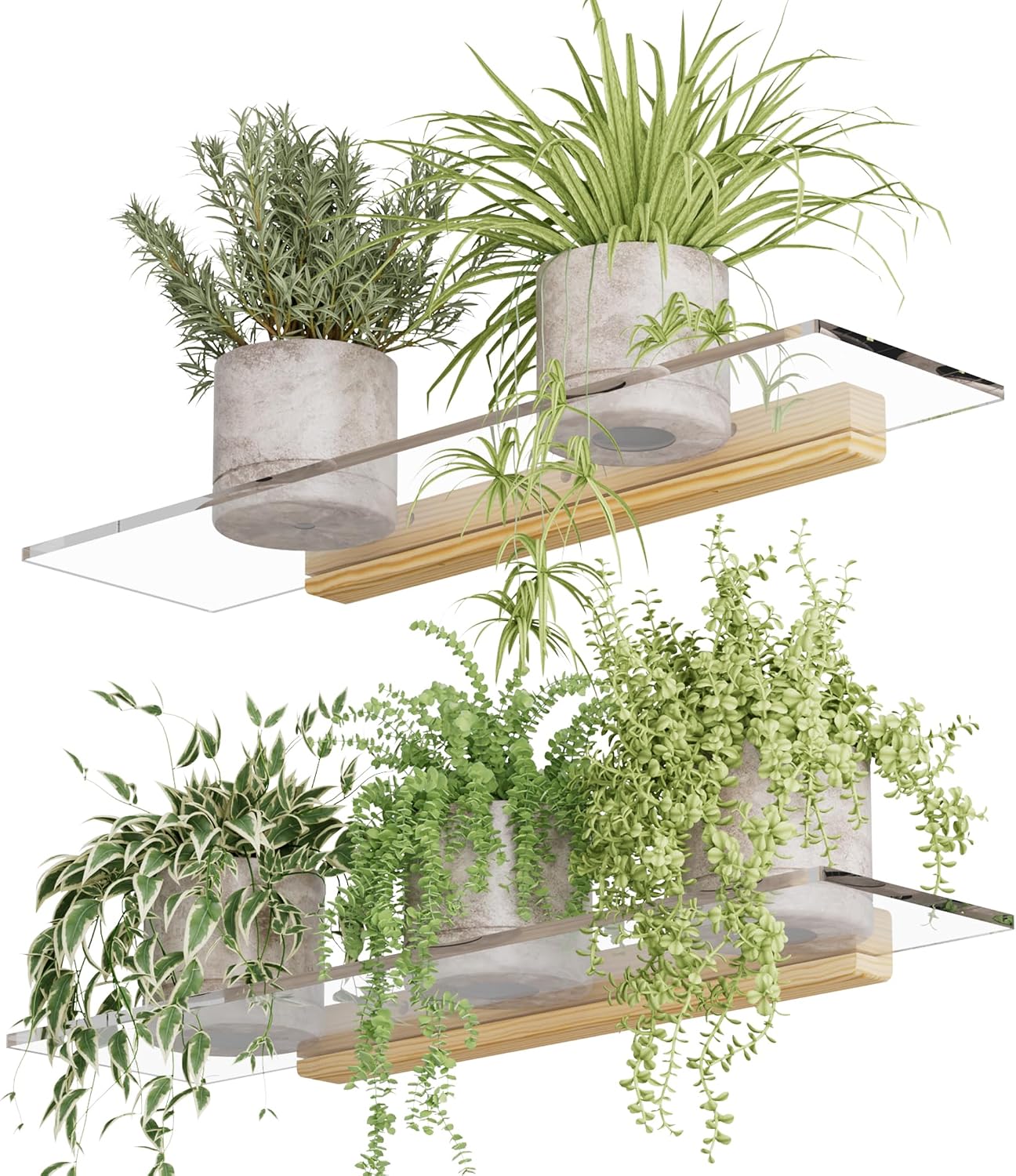 Estantes flotantes acrílicos base madera para plantas