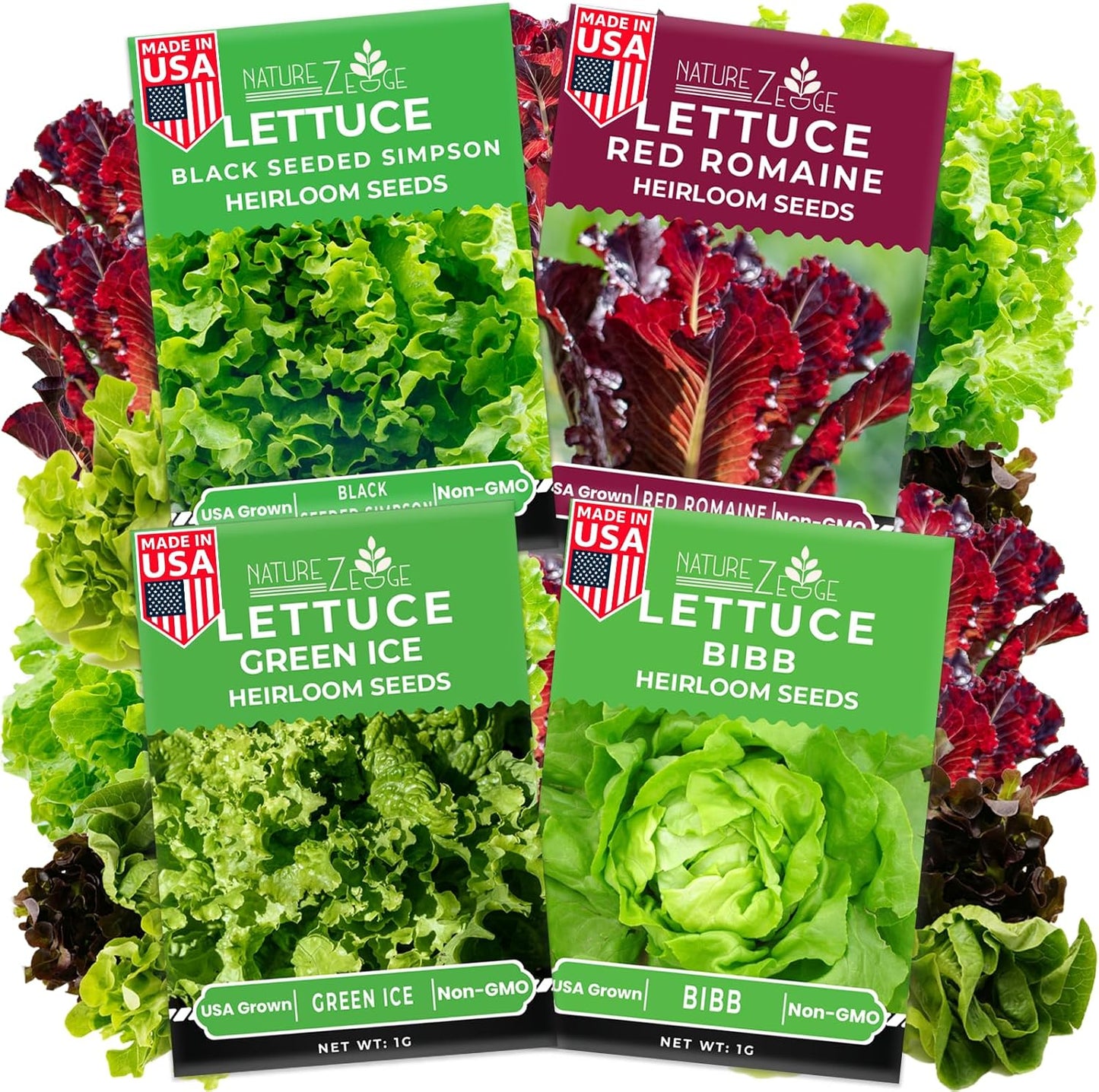 Semillas lechuga Bibb Simpson negra iceberg Green Ice