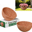 2 Forros Coco Natural 18" para Maceteros Colgantes Jardín