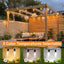 Luces cadena exterior 200ft control remoto 1004 bombillas