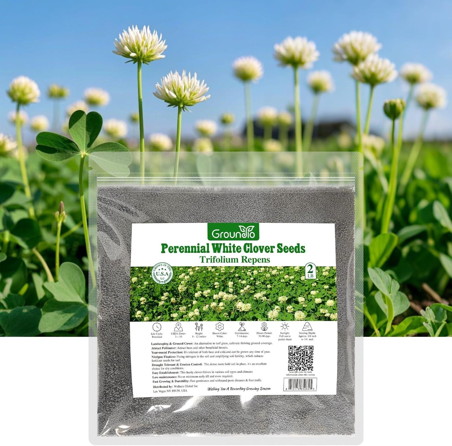 Semillas trébol holandés blanco perennes para césped 2lb