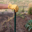 Guantes trabajo hombre jardinería construcción motosierra