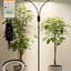 Luz de crecimiento LED 48W 2 cabezales temporizador ajustable