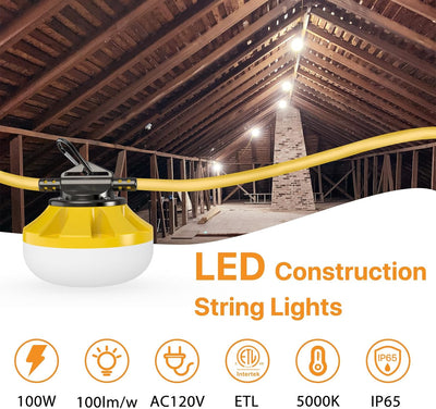 Cadena luces LED 100ft 100W 10 bombillas IP65 para ático