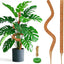 2 Postes Musgo Coco 39pulg para Trepar Plantas Interior