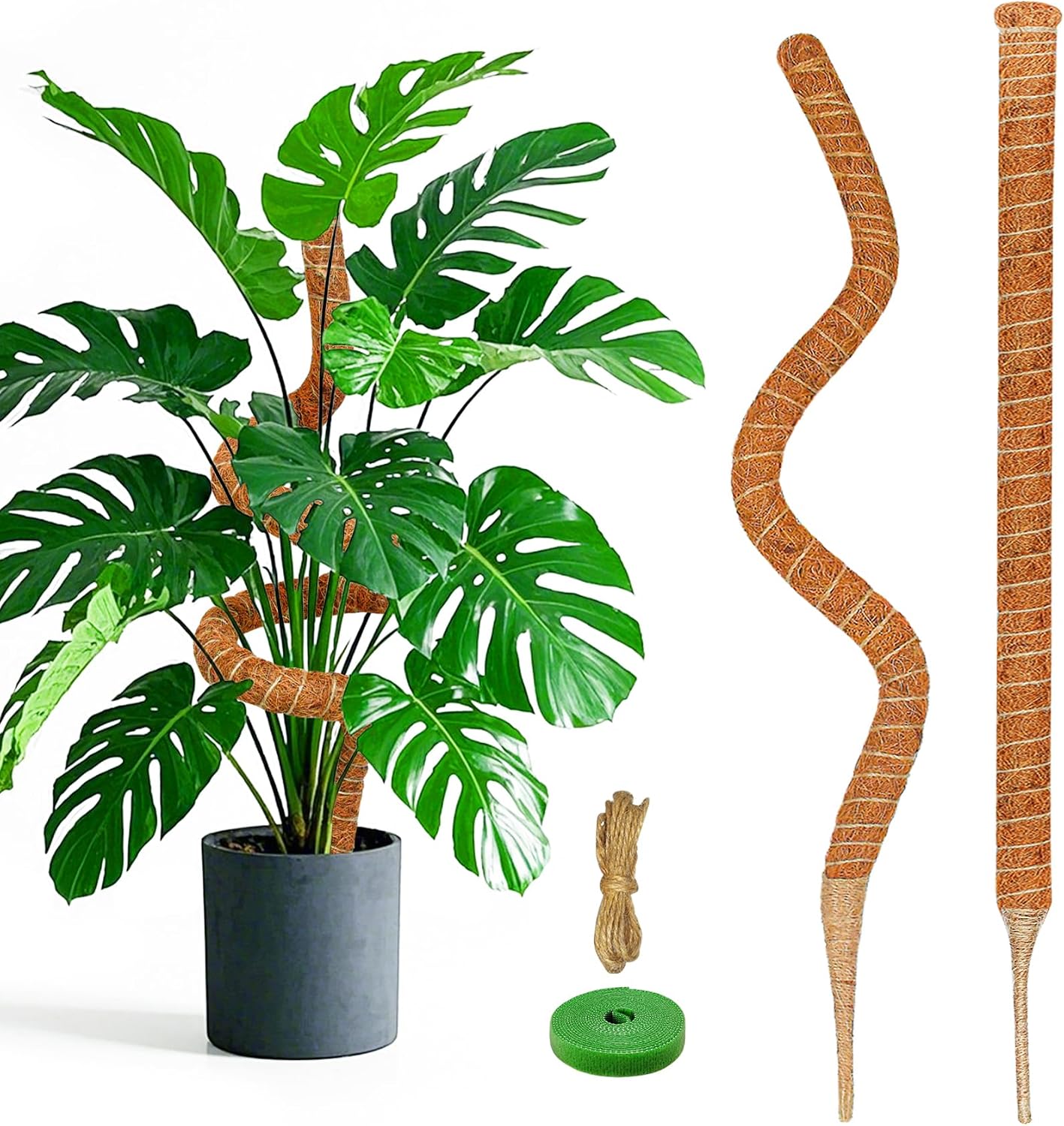2 Postes Musgo Coco 39pulg para Trepar Plantas Interior