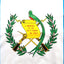 Bandera Guatemala 3x5ft tela poliéster bordes dobles