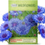 Semillas flores silvestres azules altas