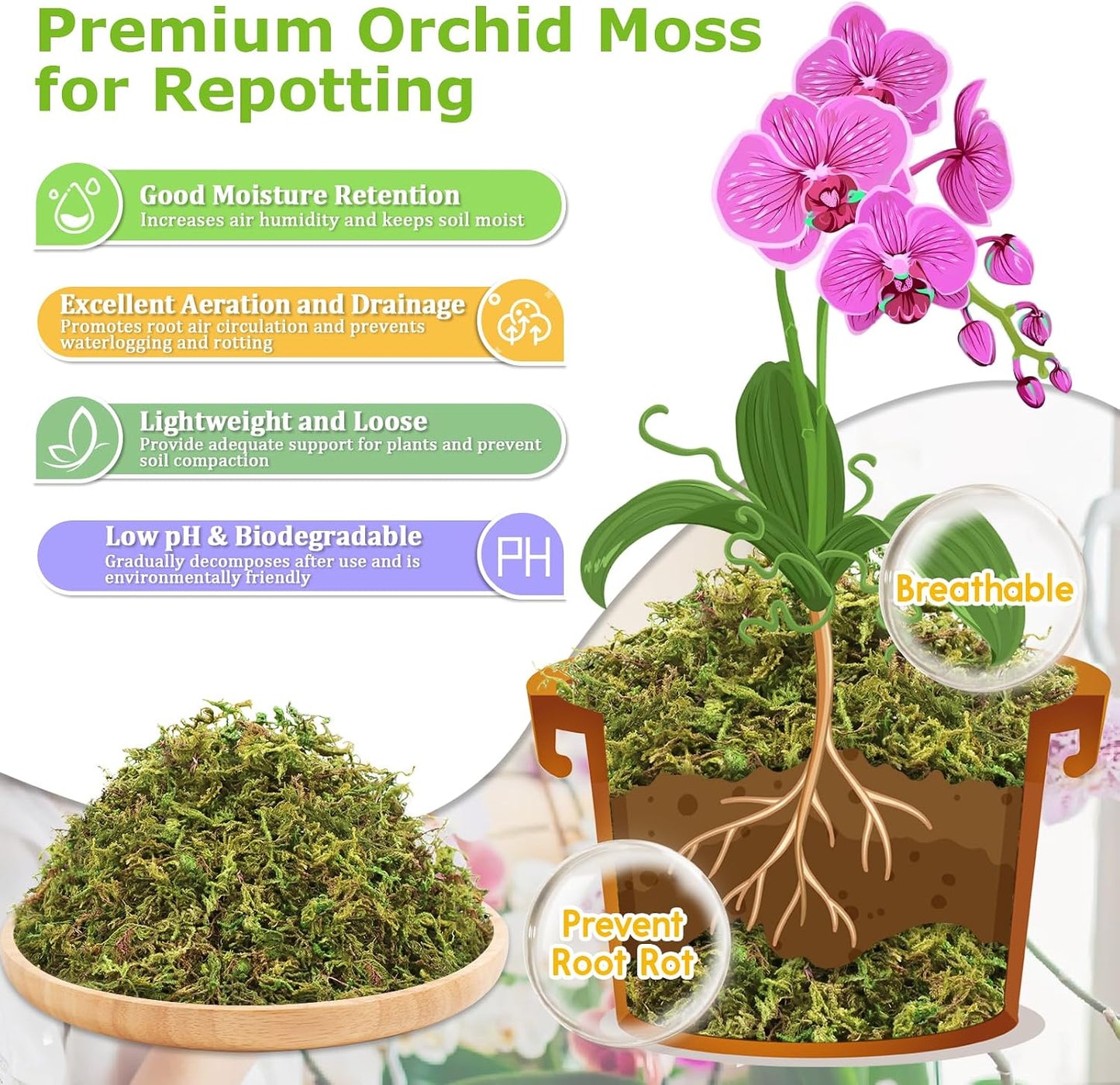 Musgo Sphagnum Verde Natural 25qt para Plantas en Maceta