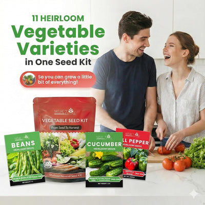 Paquete 11 semillas vegetales y frutas jardinería supervivencia