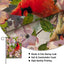 Bandera decorativa verano pájaros rojos y amarillos