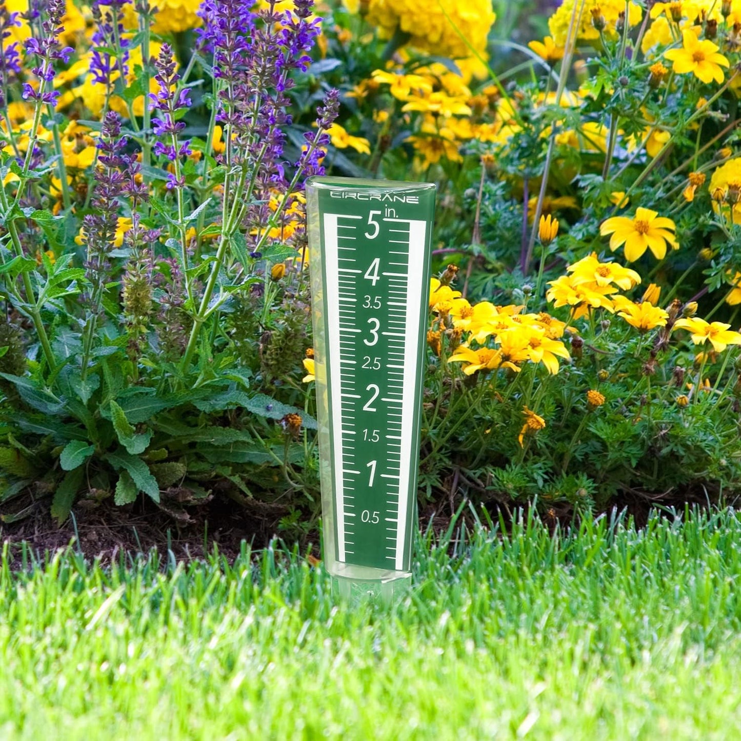 Medidor lluvia exterior 5pulg acero inox escala aumento
