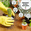 Grava guisante blanca para suculentas y cactus 2lbs